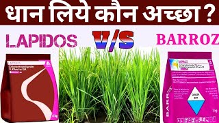 धान के लिए कौन सा कीटनाशक डालना चाहिए adama lapidos या adama Barroz। [upl. by Eniahpets]