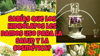 QUE ES UN HIDROLATO PARA QUE SIRVEN Y COMO USARLOS 🧪🌿🌺 [upl. by Delija433]