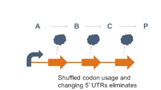 Regulation in Biosynthetic Pathways [upl. by Okuy]