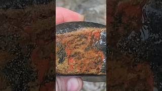 mudlarking for red jasper in the campsie glen hills scotland [upl. by Eveneg]