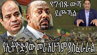 የግብጹ ውሻ ይጮሃል የኢትዮዽያው መሪ አሁንም ያስፈራራል እና የግብጹ ፓርላማ ቅሌት [upl. by Indys]