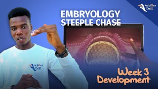 3RD WEEK OF DEVELOPMENT EMBRYOLOGY STEEPLECHASE QUESTIONS [upl. by Mavra]