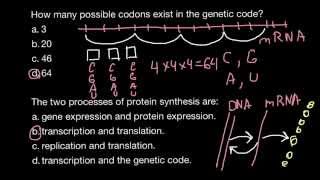 How many possible codons exist in the genetic code [upl. by Xymenes]