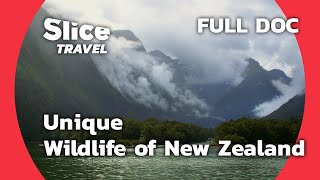 New Zealands Unique Wildlife and Conservation  SLICE TRAVEL  FULL DOC [upl. by Ciro]