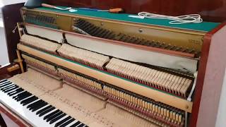 Accordare il pianoforte Fallo da solo Piano tuning Do it yourself [upl. by Hcirteid255]