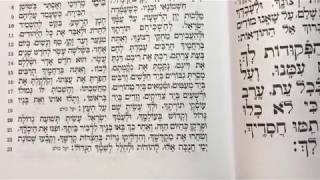 Tefilah 36 Yaleh Veyavo Al Hanisim  Prayer  Sharchris  תפילה 36 יעלה ויבוא ועל הניסים – שחרית [upl. by Craggy]