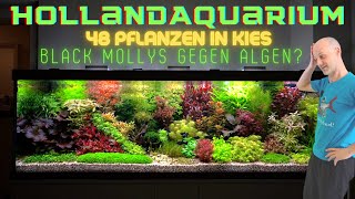 Wir sind sprachlos Unfassbares Hollandaquarium mit 48 verschiedenen Aquarienpflanzen in Kiesboden [upl. by Imoan]