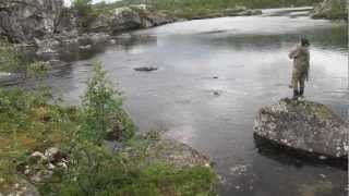 Troutfishing in Sweden Arjeplog [upl. by Halland]