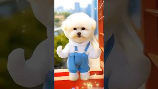 super dog dance dog dogdance funny trending shorts viralshorts trendingshorts [upl. by Louanne929]