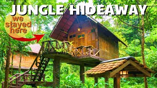 Thailand Ep11 We were blown away by this HIDDEN GEM IN KOH SOK TOWN [upl. by Delos288]