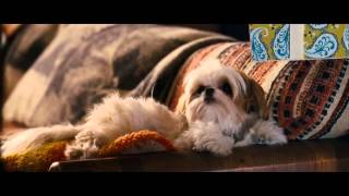 Sete Psicopatas e um Shih tzu  Trailer Oficial  04 de Janeiro nos Cinemas [upl. by Ethelinda]