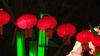 Festival des lanternes à Gaillac [upl. by Rocray]