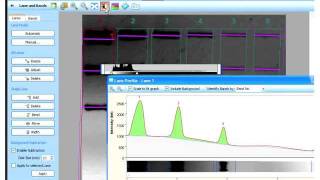 Image Lab Analysis Tutorial [upl. by Anahsak90]