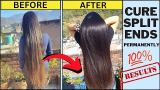 Cure Your SPLIT ENDS Permanently without cutting  Split ends home remedies [upl. by Aisanahta978]