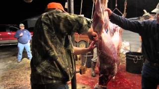 Cleaning a deer in under 4 minutes [upl. by Edmea475]