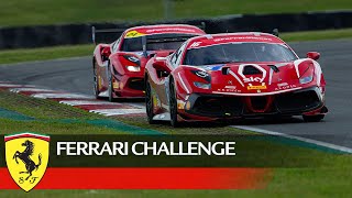 Ferrari Challenge UK Snetterton Race 2 Highlights [upl. by Erde]