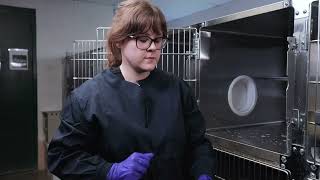 Shelter Medicine ASPCA Deep Cleaning a Cat Kennel [upl. by Cordie]