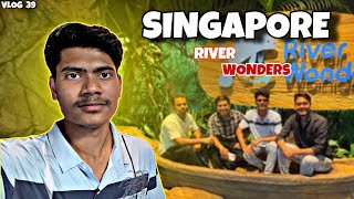 Singapore 🇸🇬 River Wonders 🦈🐊🐅 Babul Vlogs [upl. by Nhar]