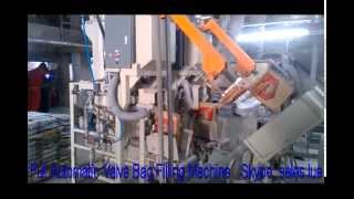 Full Automatic Valve Bag Filling Machine PVPE [upl. by Marsden337]