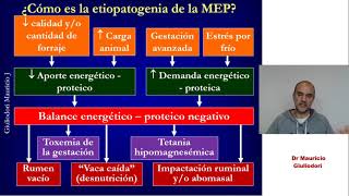 Malnutrición energético proteica síndrome hipofermentativo o insuficiencia ruminal o rumen inactivo [upl. by Nossaj]