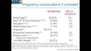 Symposium 21 Thyroid hormone in pregnancy Kristien Boelaert [upl. by Nylahsoj]