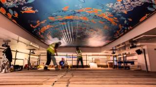 Barrisol® Print Stretch Ceiling Installation [upl. by Ennagroeg]