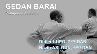 GEDAN BARAI Pratique et évolution [upl. by Medora684]