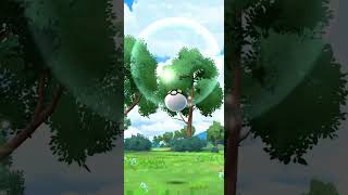 Pokemon Go Shiny Fomantis ✨ pokemon pokemoncommunity shorts [upl. by Orna]