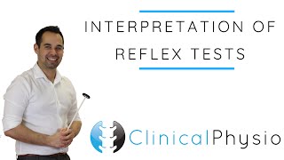 Interpretation of Reflex Tests  Clinical Physio [upl. by Aimee715]