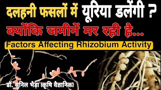 Mechanism of Nitrogen Fixation by Rhizobium and Factors Affecting N Fixation दलहनी फसलों की नत्रजन [upl. by Annibo]