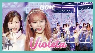 HOT IZONE  Violeta  아이즈원  비올레타 Show Music core 20190413 [upl. by Sucrad607]