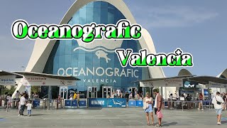 Oceanografic Valencia [upl. by Nnyleak]