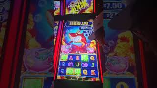 Winning some free play seed money on Shark Link with Eel bonus retrigger [upl. by Rus]