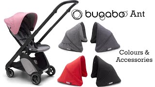 Bugaboo Ant  Colours and Accessories  New Travel Stroller 2019 [upl. by Lapo]