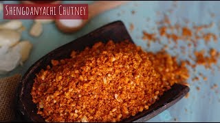 खमंग सोलापुरी शेंगदाणा चटणी  How to make quick Peanut ChutneyMungfali ki chutney by palwes kitchen [upl. by Nosylla]