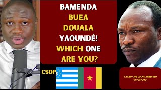 The 3 Types of People from Bamenda Buea Douala and Yaoundé Which One Are You [upl. by Esilram]