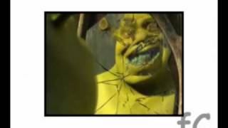 ♫ Shrek  Im a believer ♫ [upl. by Ssilem]