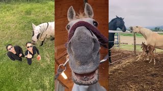 Horse Videos That Went Viral 11 [upl. by Niraj]