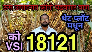 ऊस वाण 18121 या दुप्पट उत्पन्न देणाऱ्या जातीची संपूर्ण माहिती  थेट प्लॉट मधून  कष्टाची शेती [upl. by Loring]