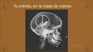 Anatomia Imagenologica del Craneo RX Tomografia [upl. by Havard]