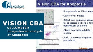 Demonstration ImageBased Analysis of Apoptosis Using Cellometer Vision CBA [upl. by Acinot]