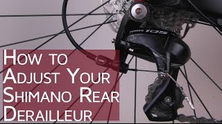 How to Adjust your Shimano Rear Derailleur  CGT  Bike School [upl. by Oirifrop]