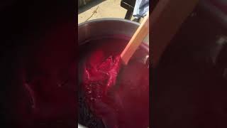 Dyeing with Cochineal by Kathleen OGrady [upl. by Garcon]