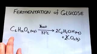 Fermentation  all the chemistry explained [upl. by Monti]