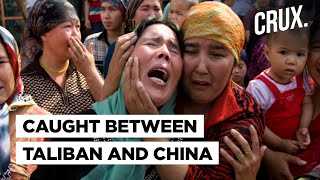 ChinaTaliban Proximity Why Uighurs In Talibans Afghanistan Fear Being Handed Over to China [upl. by Chamkis176]