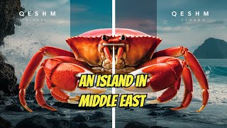 The Hidden Secrets of Qeshm Island [upl. by Attennek274]