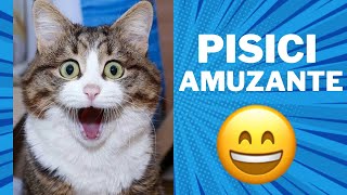 ✅Pisici nebune 🙀Filme Amuzante cu Pisici🐈Încearca sa nu rîzi😹😸 3🤣💕Cele mai amuzante pisici🙀🙀 [upl. by Gillman]