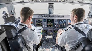 On the Path to Becoming an American Airlines Pilot [upl. by Mayor]