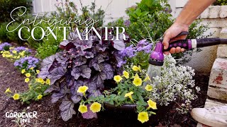 Planting Our Entryway Container  Supertunia Mini Vista Yellow  Gardener in Love [upl. by Sotsirhc166]