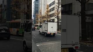 Yellow leaves falling down in autumn  Tokyo street [upl. by Ahcirt342]